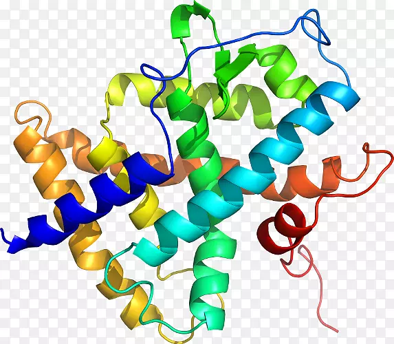 ���������л����߼�������-������