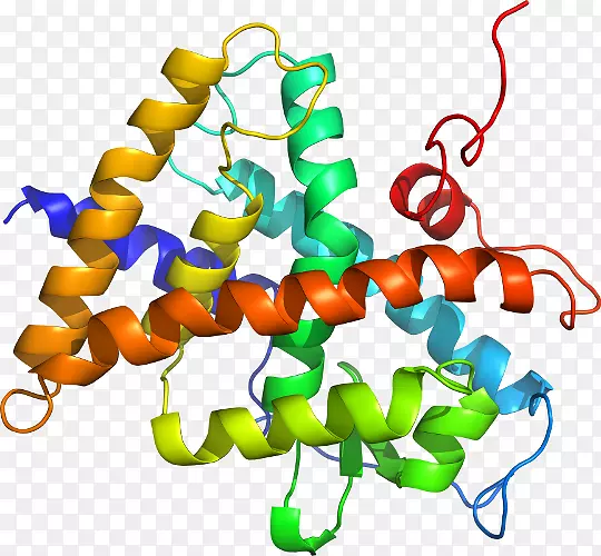 ���������л����߼�������-������