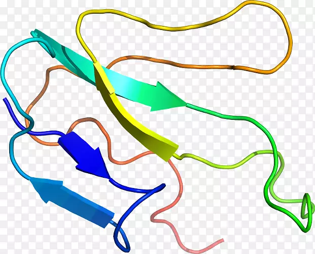 �ߵ������-��-������