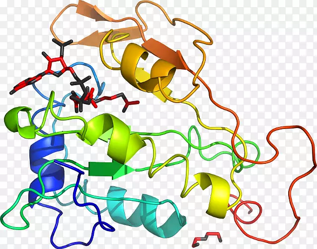 �ߵ������������-������