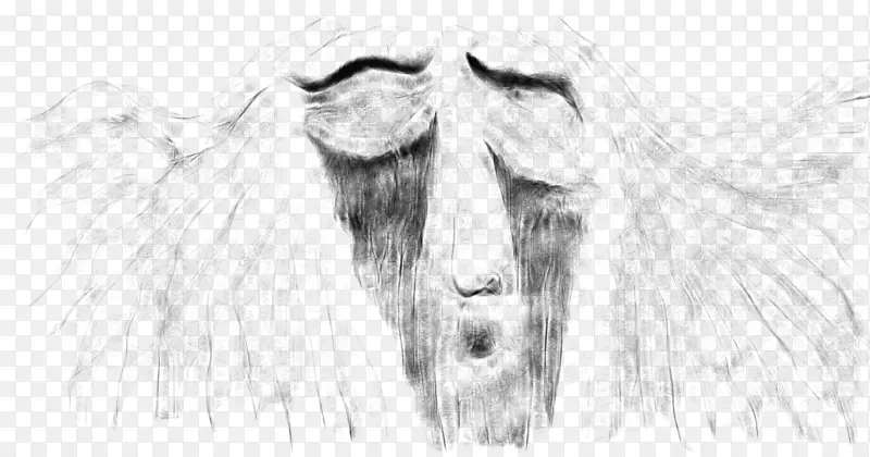 �ǻ�����������-����-������