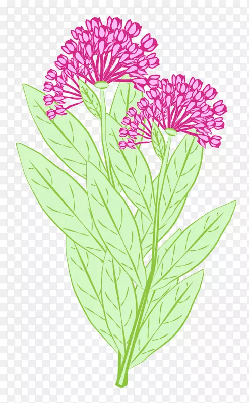 ������ݻ�������ֲ��-������