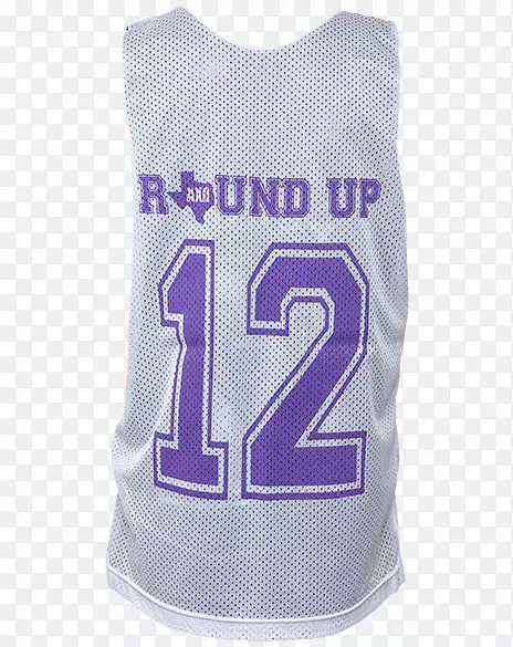 t����������ƽ�Բ-������