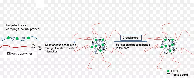 Ʒ��������-��-������