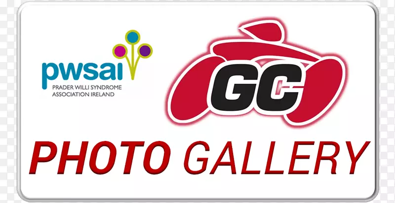 �̱�������-������