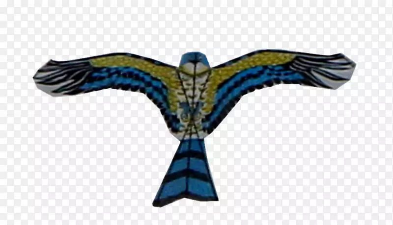 ӥ��ӥ-������