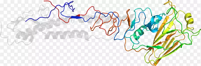 �ߵ���������-������