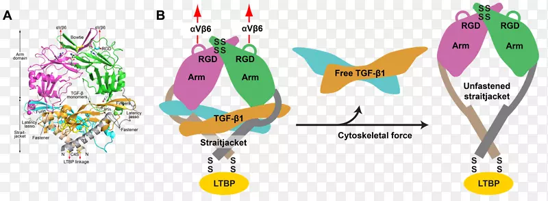 ƽ�����-���-������