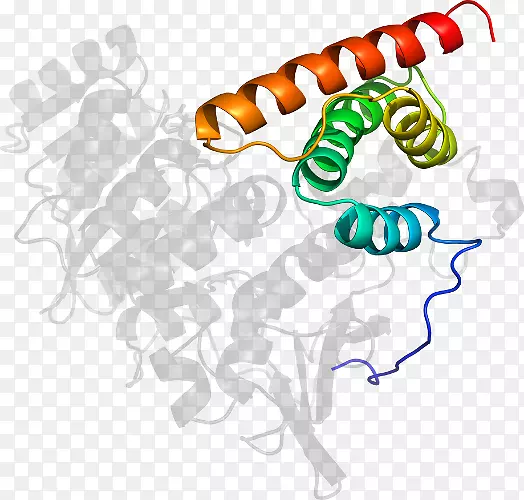 �ߵ������������-������