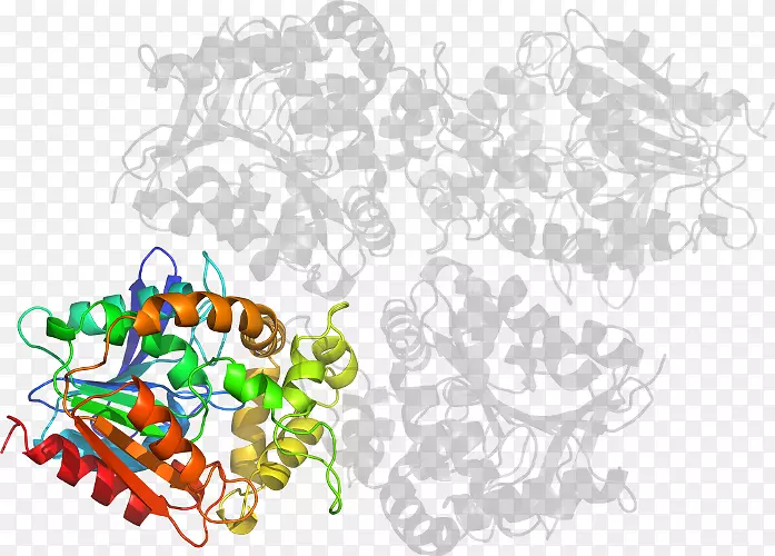 ��ľ������-��-������