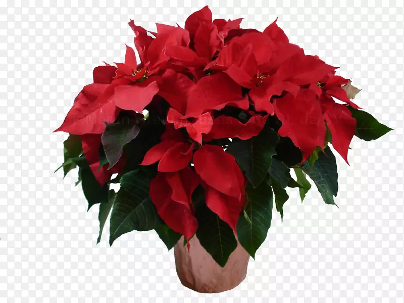 ��������л���������-��-������