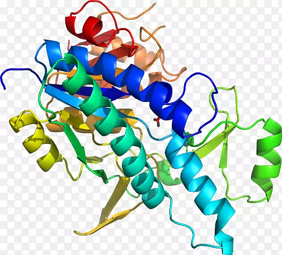 �����߶��������-����-������