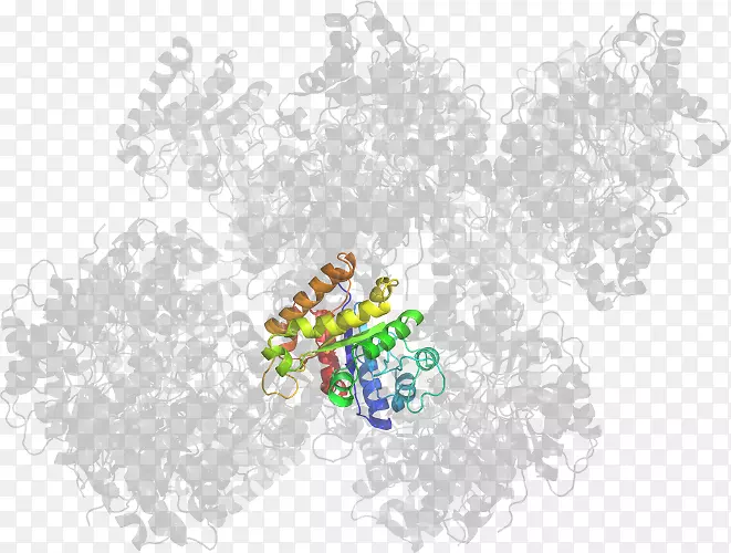 �����������ֽ����������-������