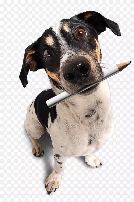 Ȯ��С��Lid��.cz����-С��-������