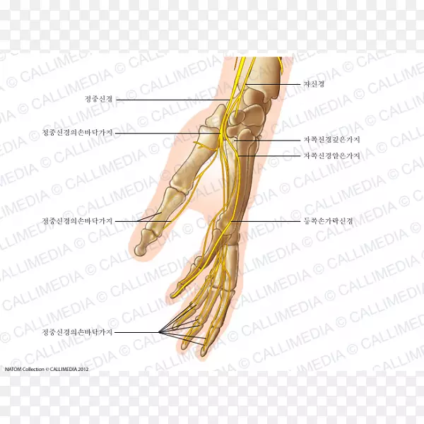 ��ָ��������񾭲���-������