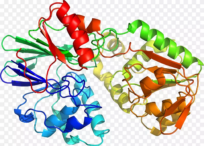 �л��������-������