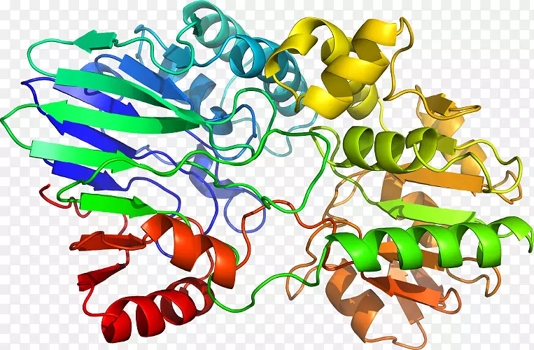 �����߶����������-������