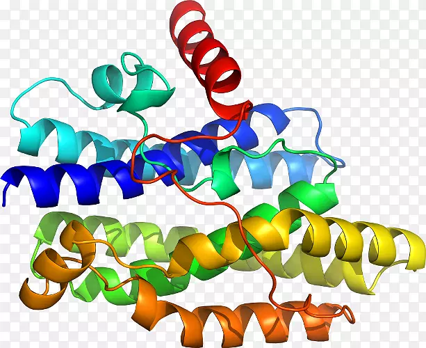 �����߶����������-������