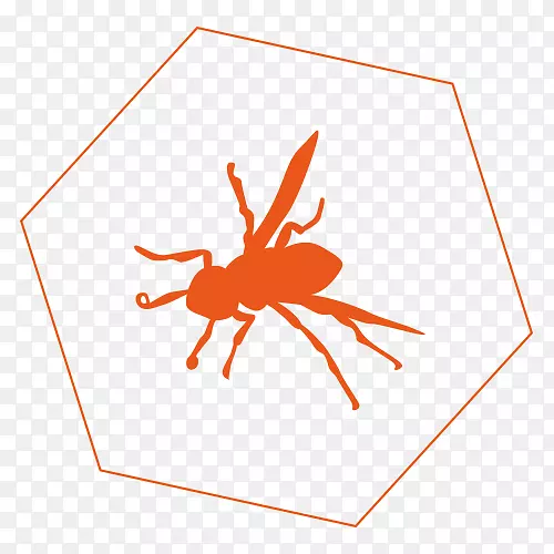 ѧ�����溦������ͨ�Ʒ�-������