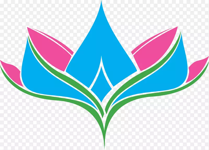 Ҷ��ת�Գƻ���ͼ��-����ͼ��-������