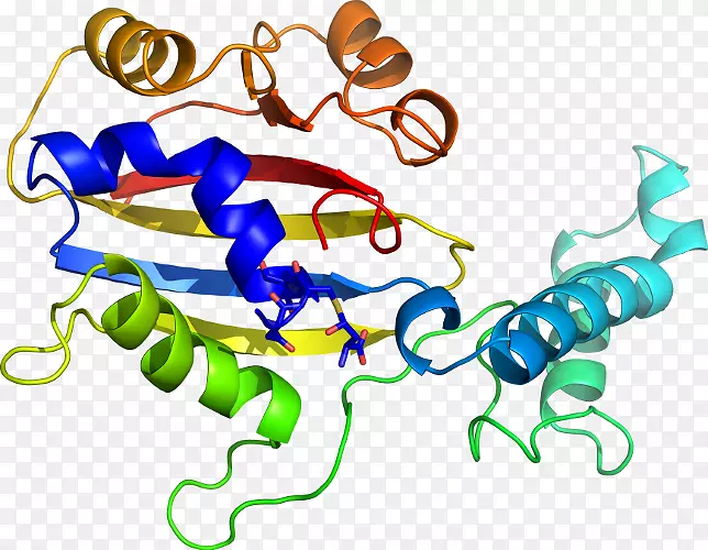 ���������л����߼�������-������