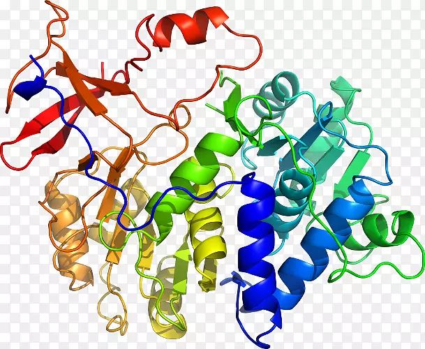 ���������л����߼�������-������