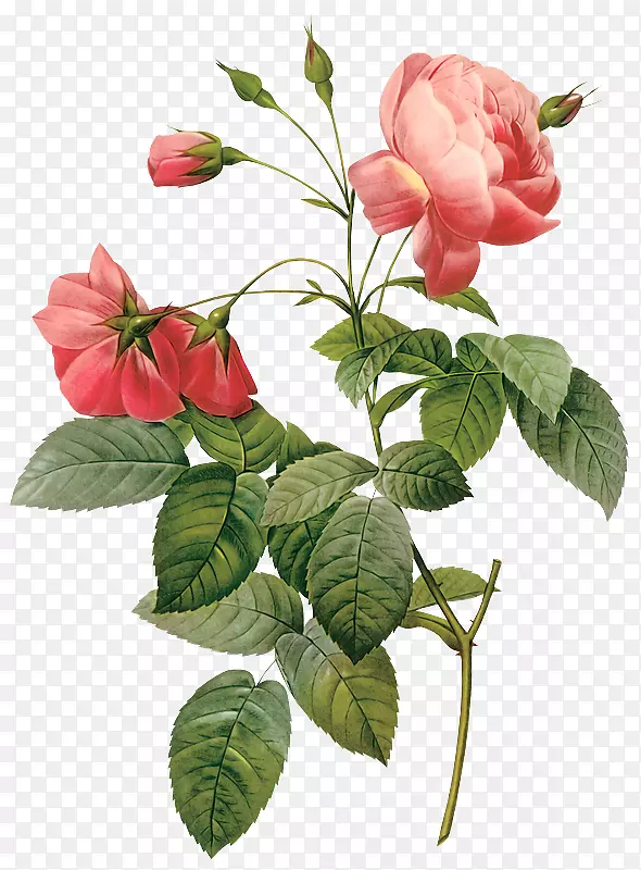 ��Ӱ��õ�������-��-������