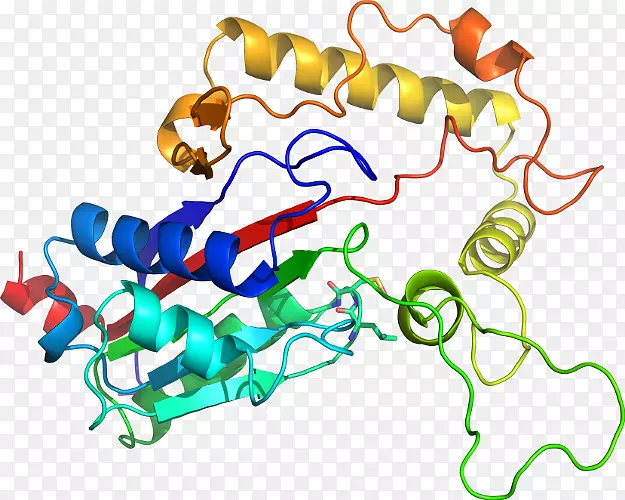 �ߵ������������-������