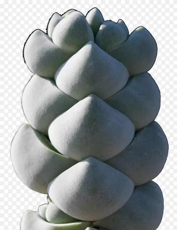 ����ʯ��ҵ�����ҳ���-������