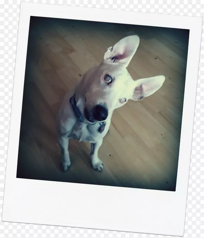 Ȯ��С¹����-С��-������