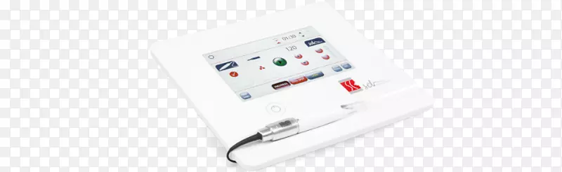 ����-�ϳ���ɫ-������