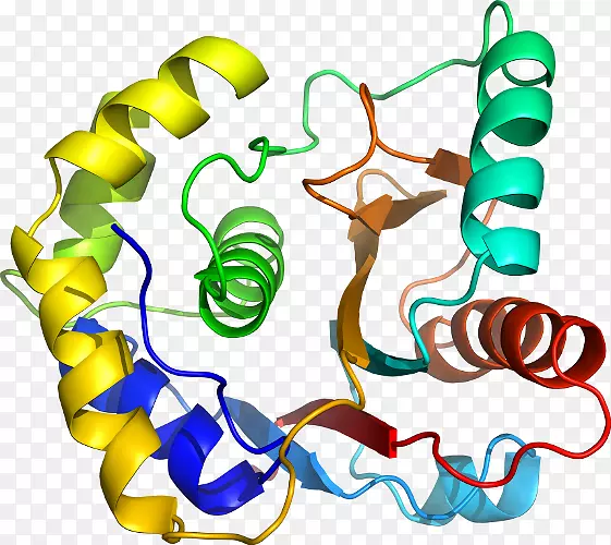 ������Ϊ�л����������-������