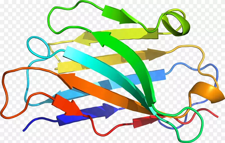 �ߵ������-��-������