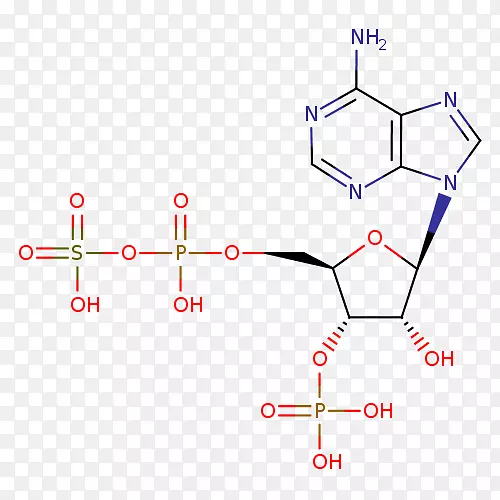 ֱ�ߵ����-������