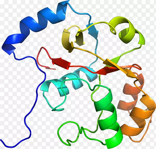 ���������л����߼�������-������