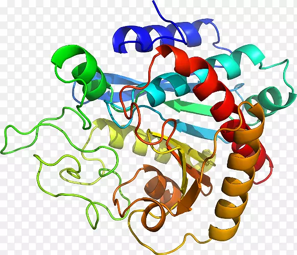 �����л����߶����������-������