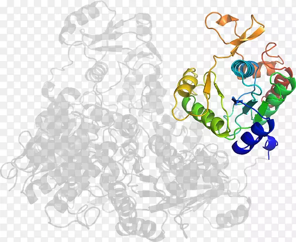 ��������-������