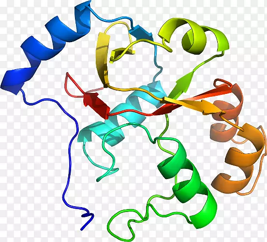 ֱ�ߵ����ﶯ���������-������