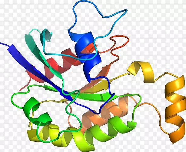 Ҷֲ�ﾥ�߼�����-Ҷ-������