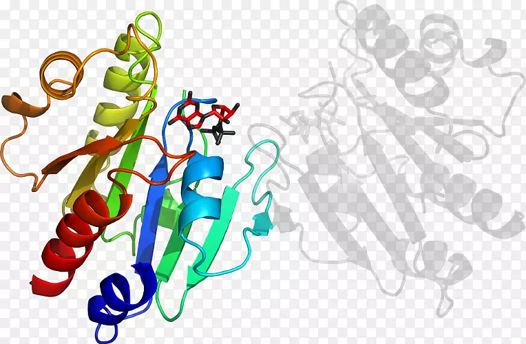 ������Ϊƽ����Ƽ��������-������