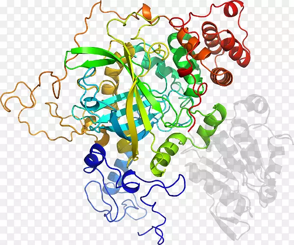 ������Ϊ��������������-������