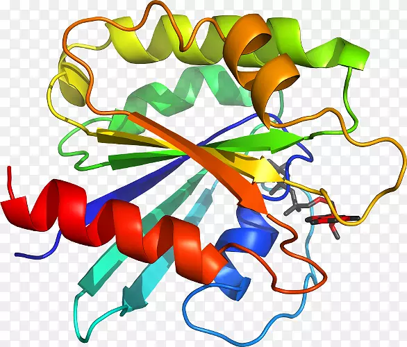 �ߵ������������-������