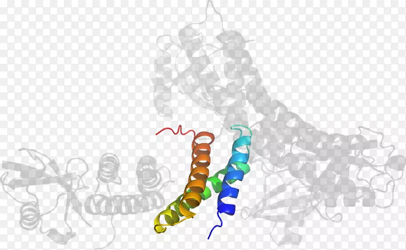 �����鱦������������-��-������