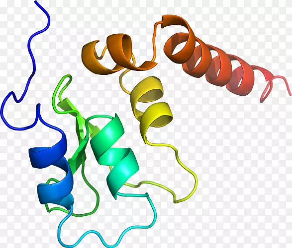 ���������л����߼�������-������