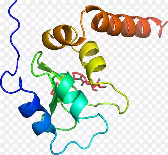 ������Ҷ���������-����-������