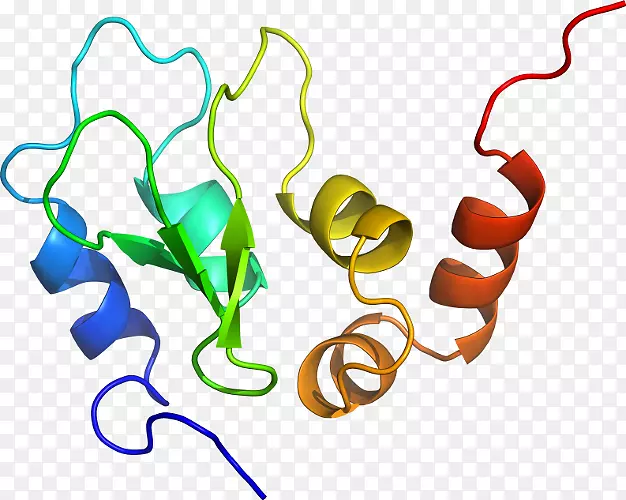 �����鱦���л����������-������