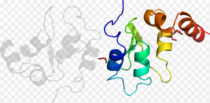 �л���ƽ����Ƽ��������-������