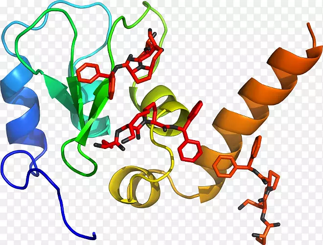 �ߵ������������-������