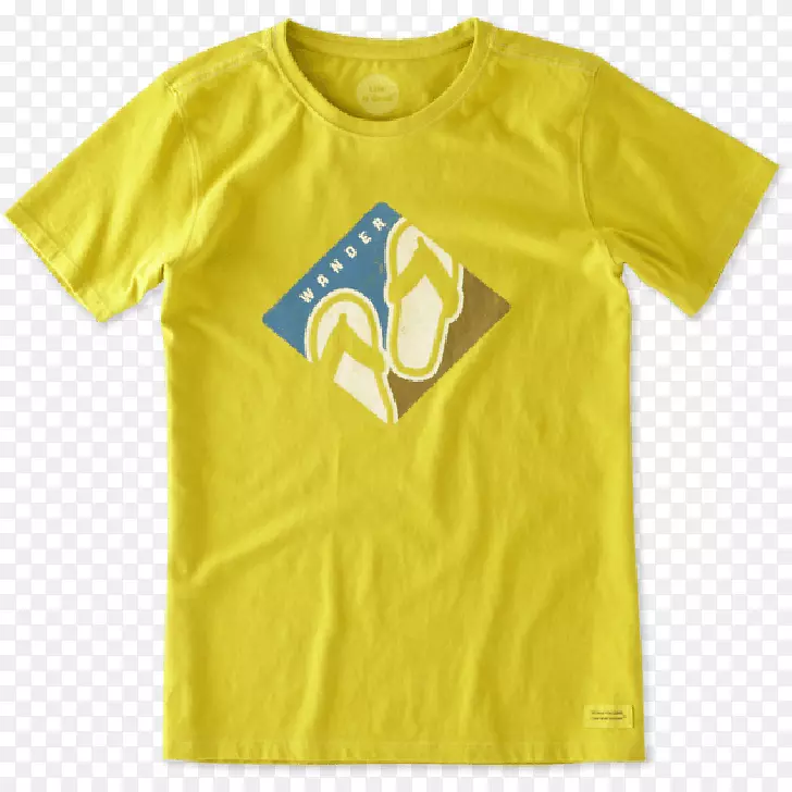 t������ʨ����t��-������