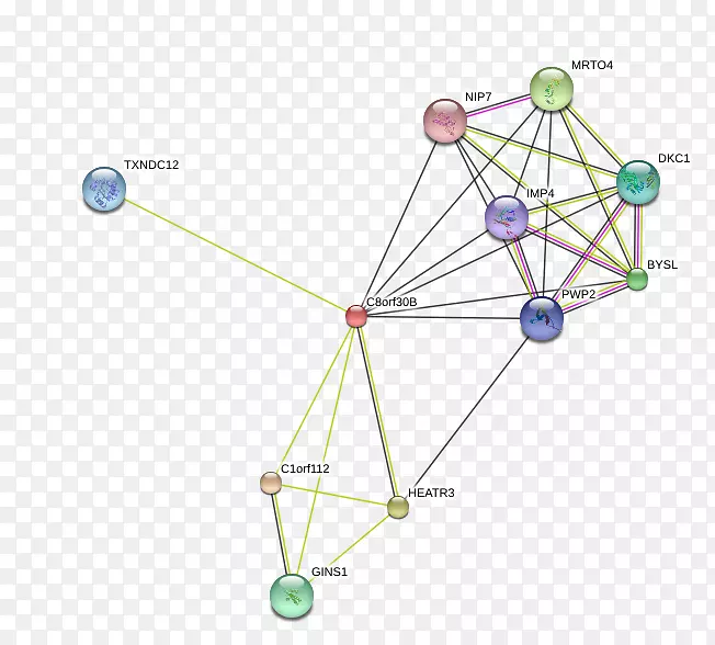 ֱ�ߵ����-������